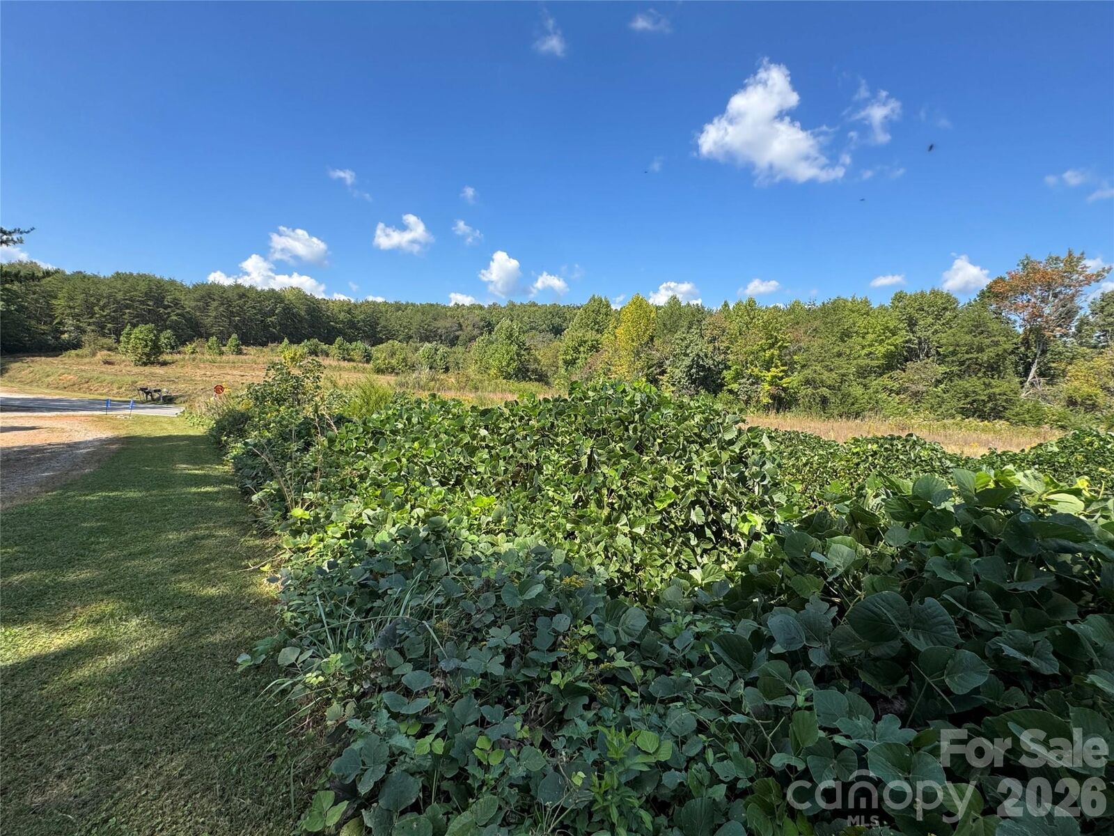 Property Photo: 0 Freemantown Road NC 28746