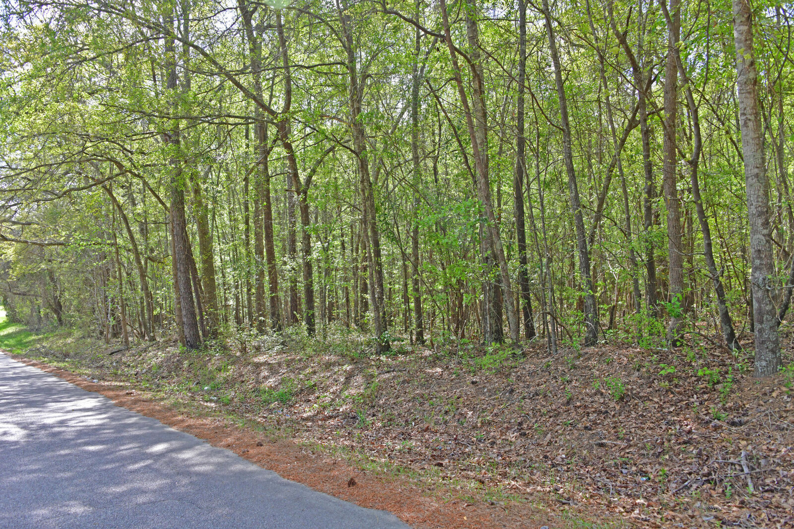 Property Photo:  0 Ridgelake(Lot 8  SC 29135 