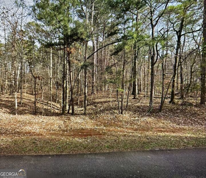 Property Photo: 1141 Brannon Drive GA 30642