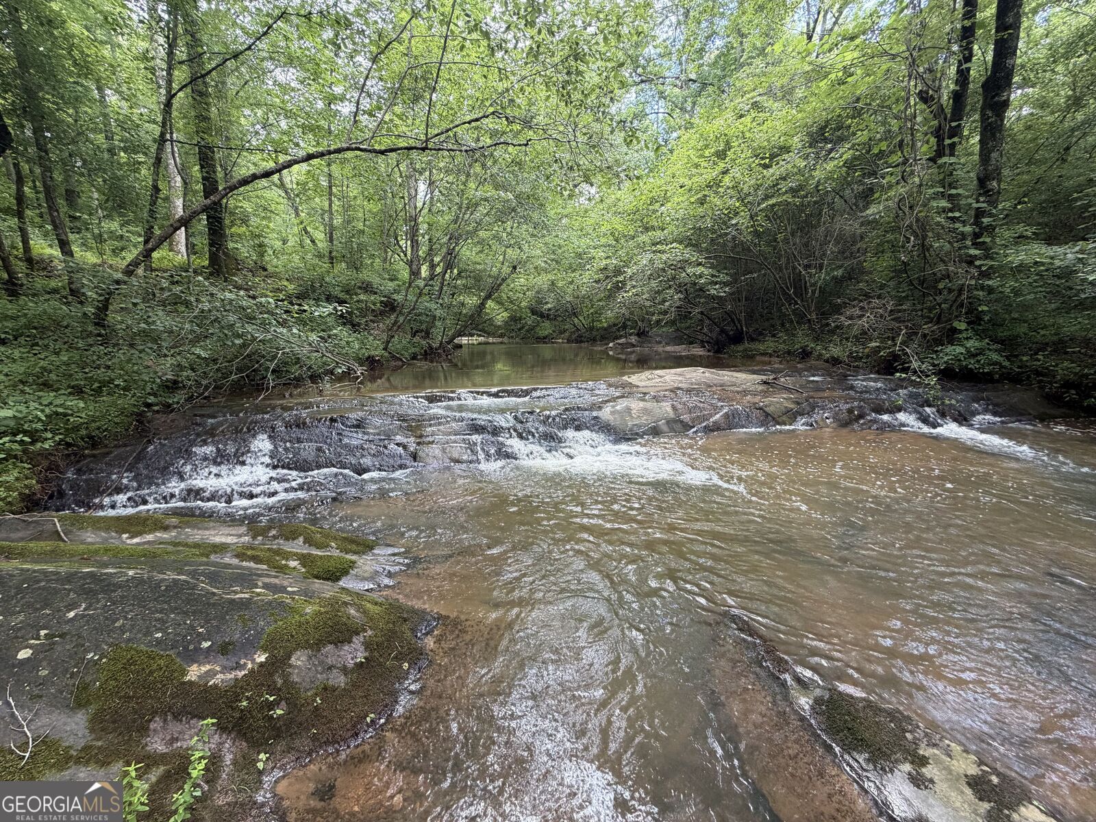 Property Photo: 00 Old Tennessee Road 3 GA 30217
