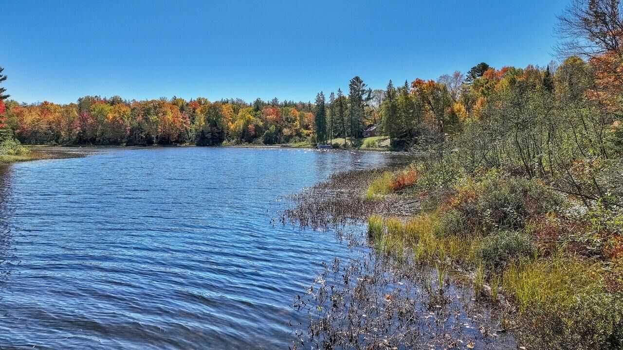 Property Photo:  Tbd Off Cth Ff  WI 54547 