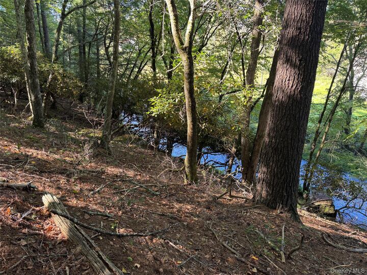 Property Photo:  Lot 1 Chapin Trail  NY 12720 