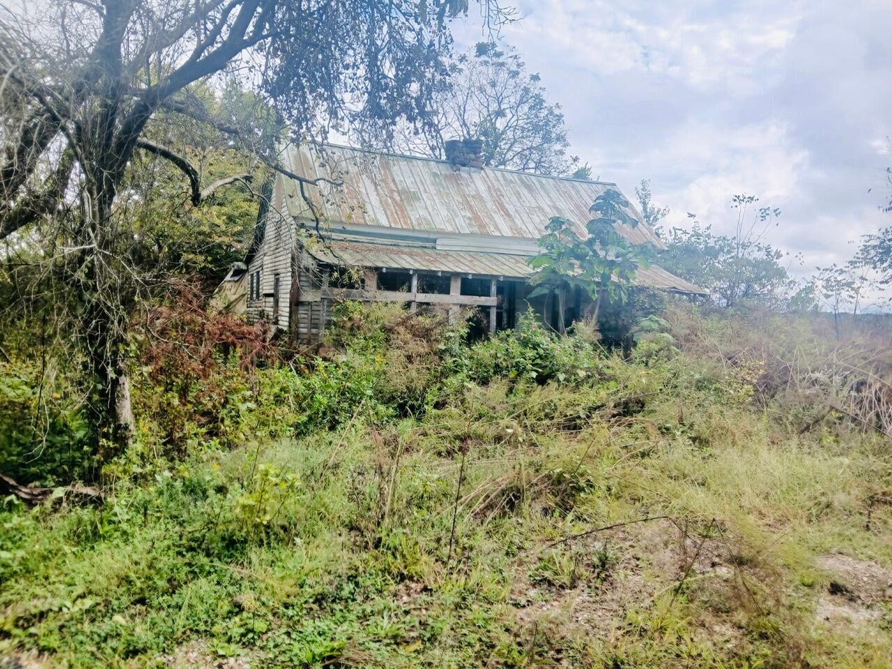 Property Photo:  316 Reese Road  TN 37861 