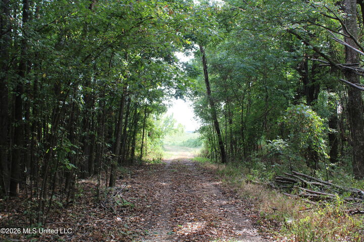 Property Photo:  4 Star Landing Road  MS 38651 