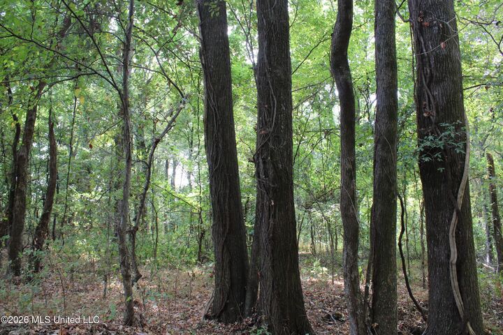 Property Photo: 3 Horn Lake Road MS 38651