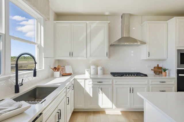 Property Photo: 12721 S Harry Circle IL 60585