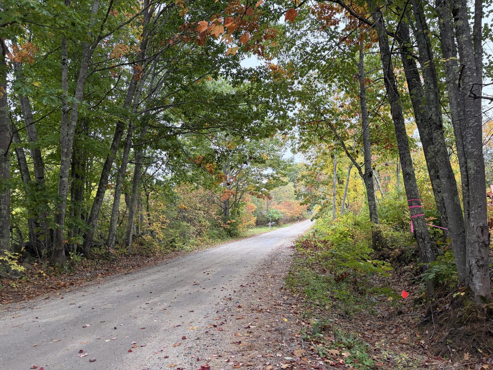 Property Photo: Lot 13-B2 S Town Farm Road ME 04270
