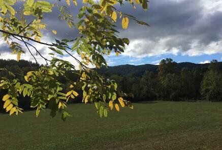 Property Photo: 1419 Brannon Nix Road GA 30582