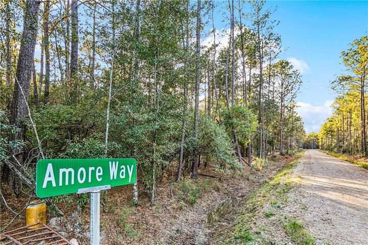 Property Photo:  Tracts B-4,B-5 Amore Way  LA 70435 