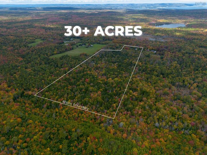 Property Photo:  6220 Sissiboo Road  NS B0S 1B0 