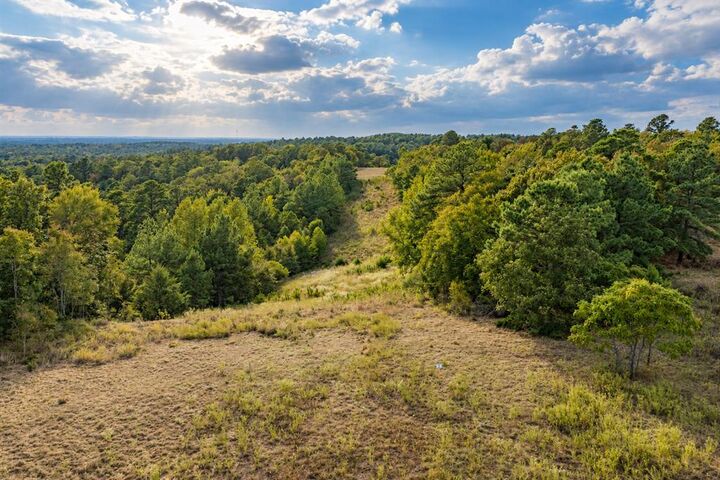 Property Photo: 00 Off Of County Road 448 TX 75803