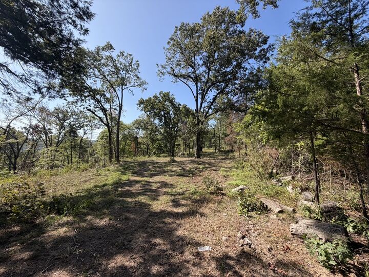 Property Photo:  0 Bug Scuffle Road  AR 72774 