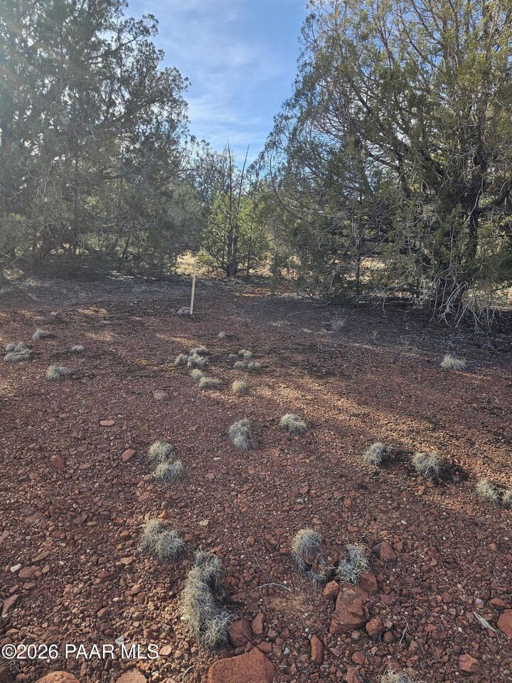 Property Photo: 55644 N Potrero Parkway AZ 86337
