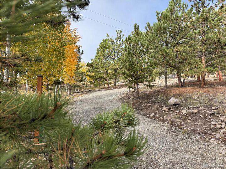 Property Photo:  171 Whip Way  CO 80449 