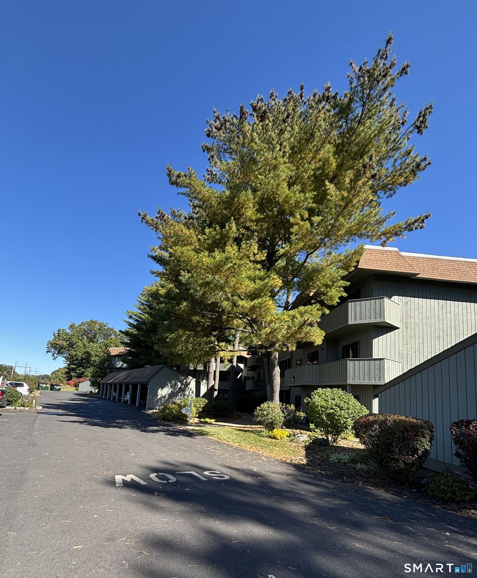 Property Photo: 19 Hickory Hill 19 CT 06489