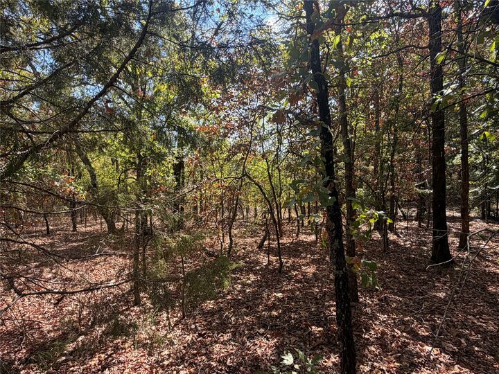Property Photo:  Davis Road  OK 74555 
