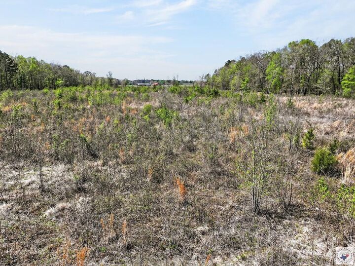 Property Photo:  0 County Road 4223  TX 75574 