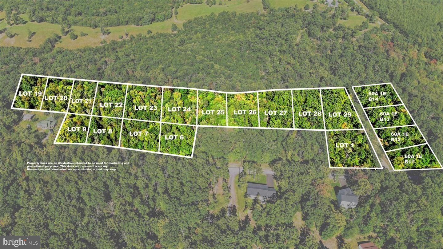 Property Photo:  Group Of 20 Lots Glen Ridge Road  VA 22602 