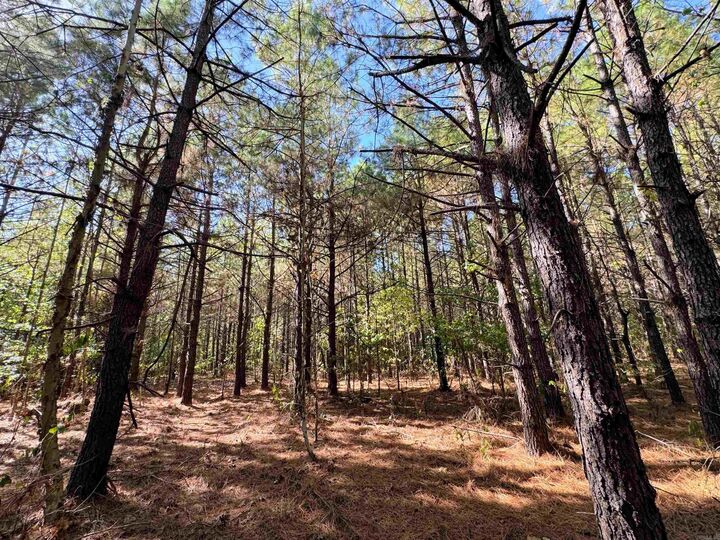 Property Photo: Tbd 38 Acres Dallas 429 AR 71725