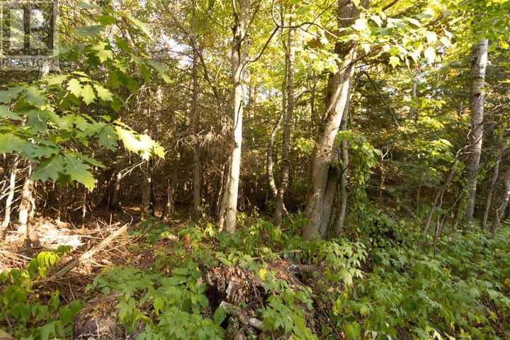 Property Photo:  Lot 16 Nokomis Beach Rd  ON P6A 5K6 
