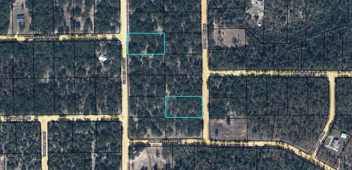 Property Photo:  Lot 9 Broom Avenue  FL 32448 