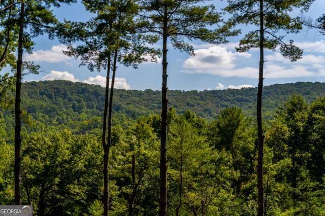 Property Photo:  58 Papa Bear Path  GA 30513 