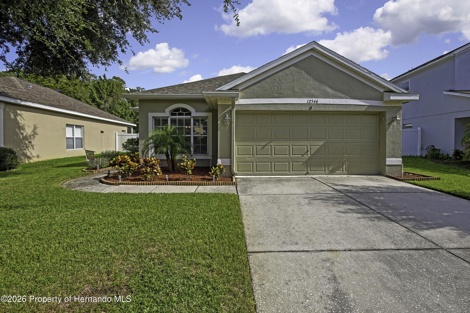 Property Photo:  12546 Chenwood Avenue  FL 34669 