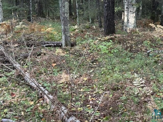 Property Photo:  Xxx Brule River Rd  WI 54820 