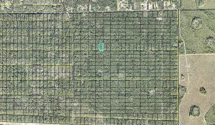 Property Photo:  319 Tippin Street  FL 32145 