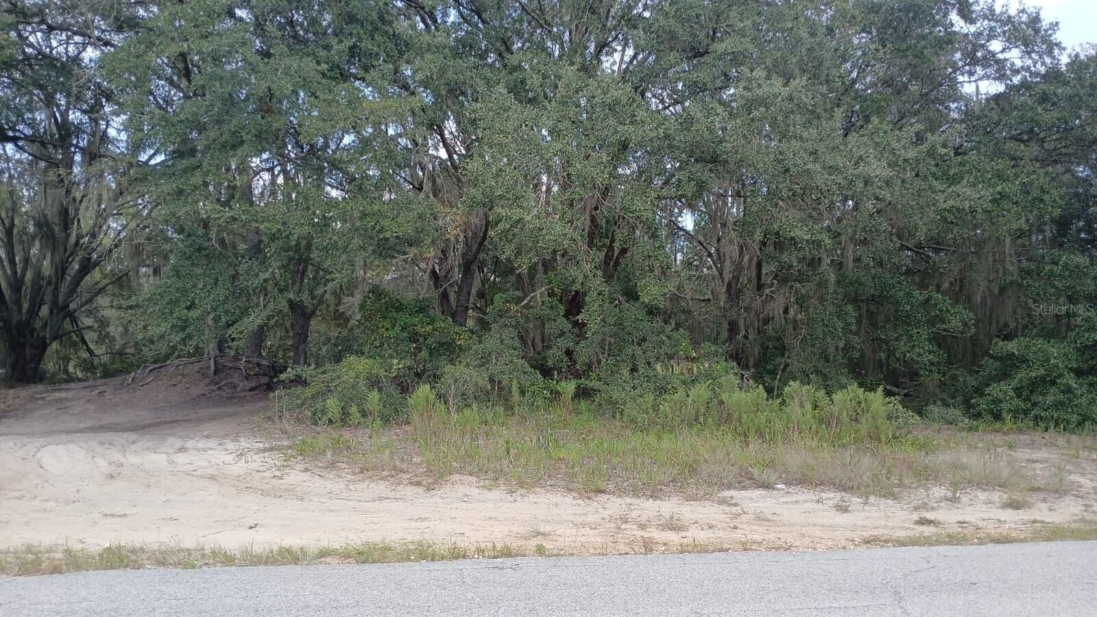 Property Photo: SE Malauka Loop Run Road FL 32179