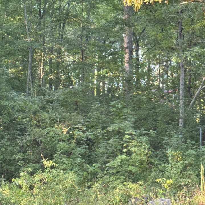 Property Photo:  0 Glade Trl  TN 37018 