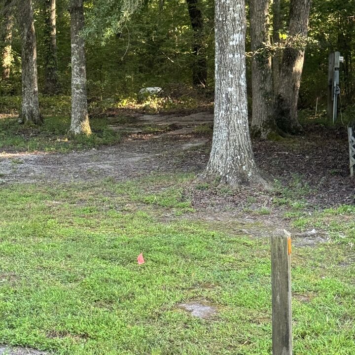 Property Photo:  343 Spring Cir  TN 37018 
