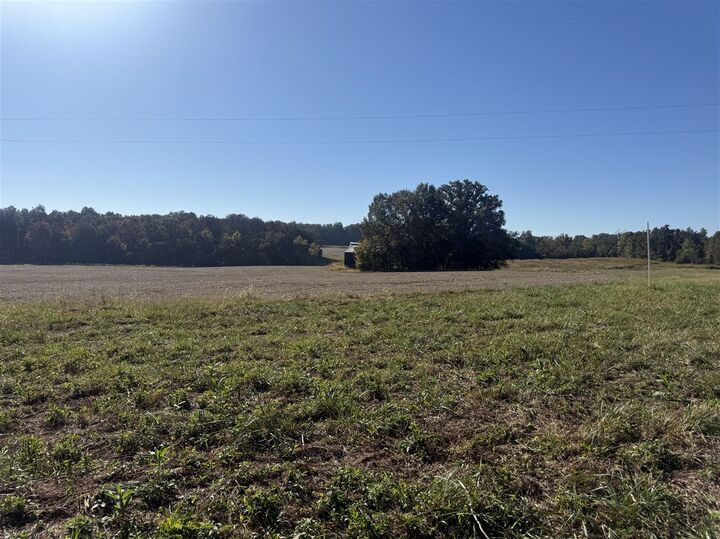 Property Photo:  0 Mulberry Street  KY 42256 