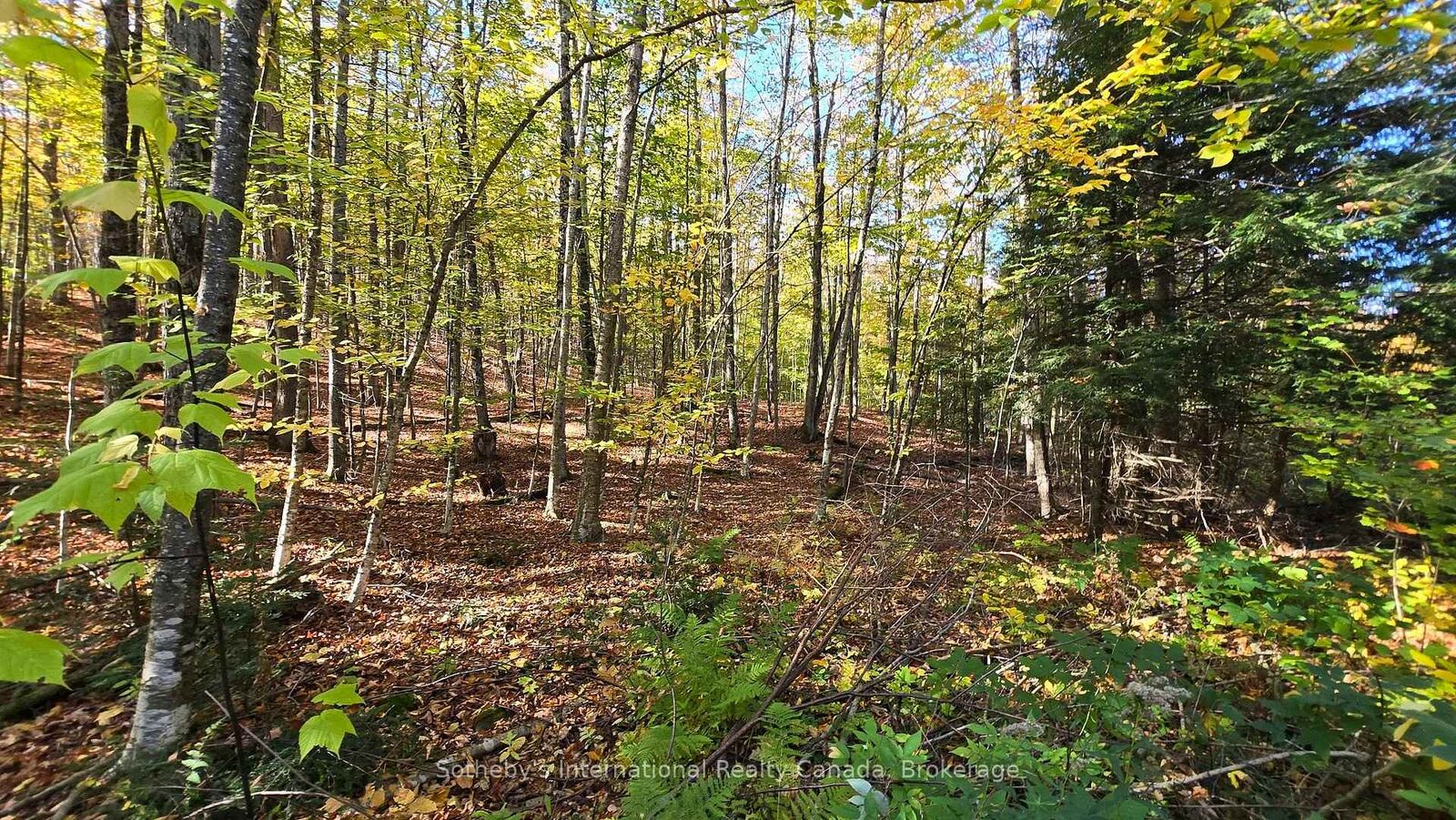 Property Photo:  0 Mink Lot 17 Road  ON K0M 1S0 