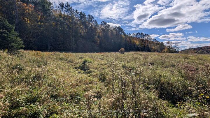Property Photo:  1827 Highway 141 Highway  ON P0B 1M0 