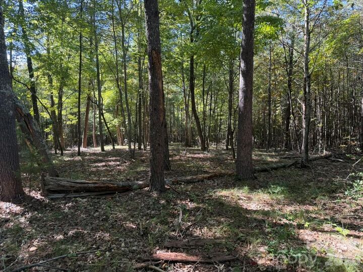 Property Photo:  3523 Pax Hill Road  NC 28655 
