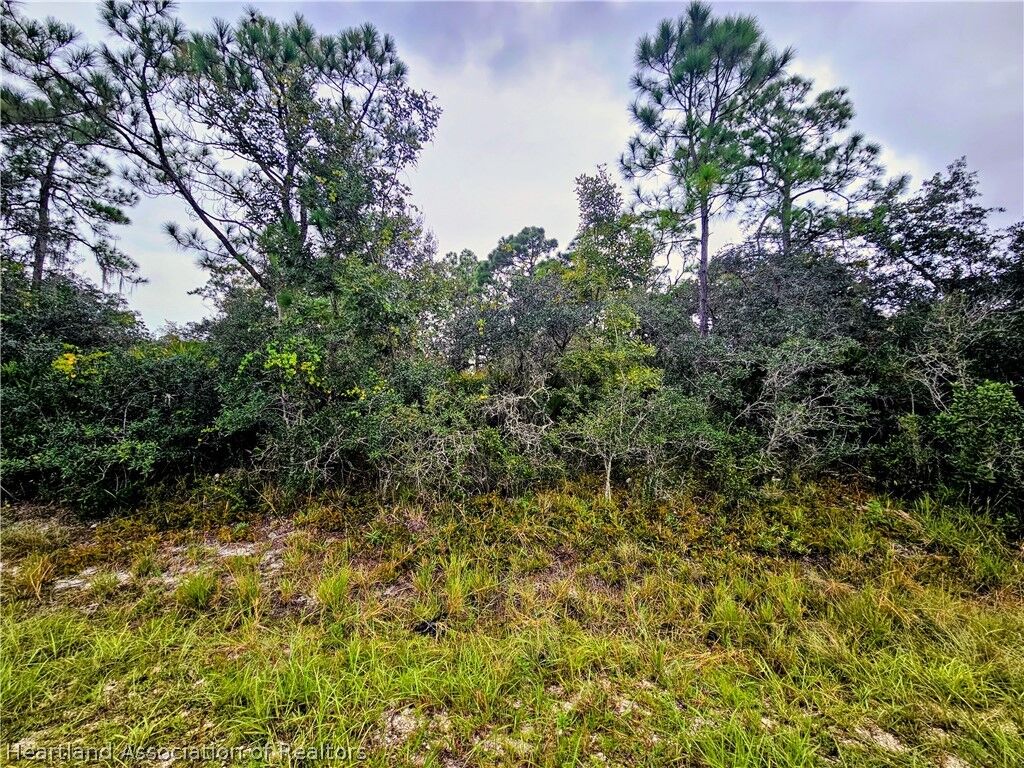 Property Photo:  105 Bronson Street NW  FL 33852 