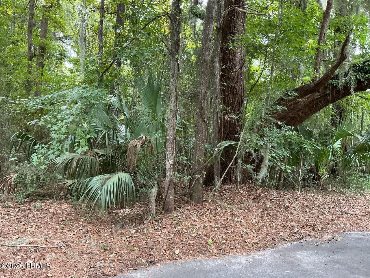 Property Photo:  80 N Boone Road  SC 29920 