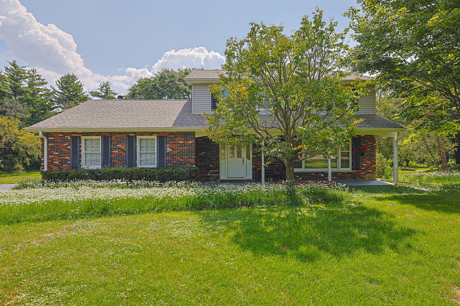 Property Photo:  52 Darlington Drive  IL 60047 
