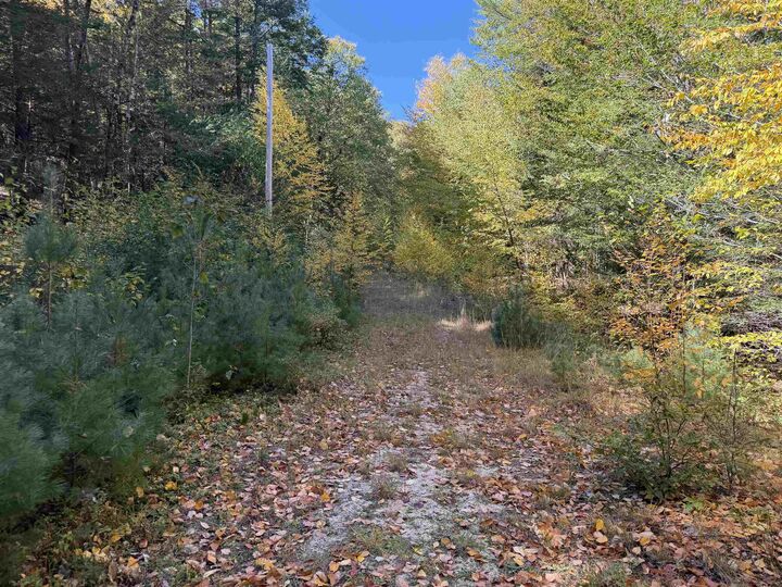 Property Photo:  0off Langley Road  NH 03431 
