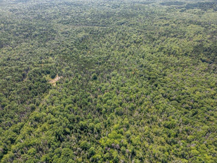 Property Photo:  Lot 334 Highway  NS B0W 1B0 