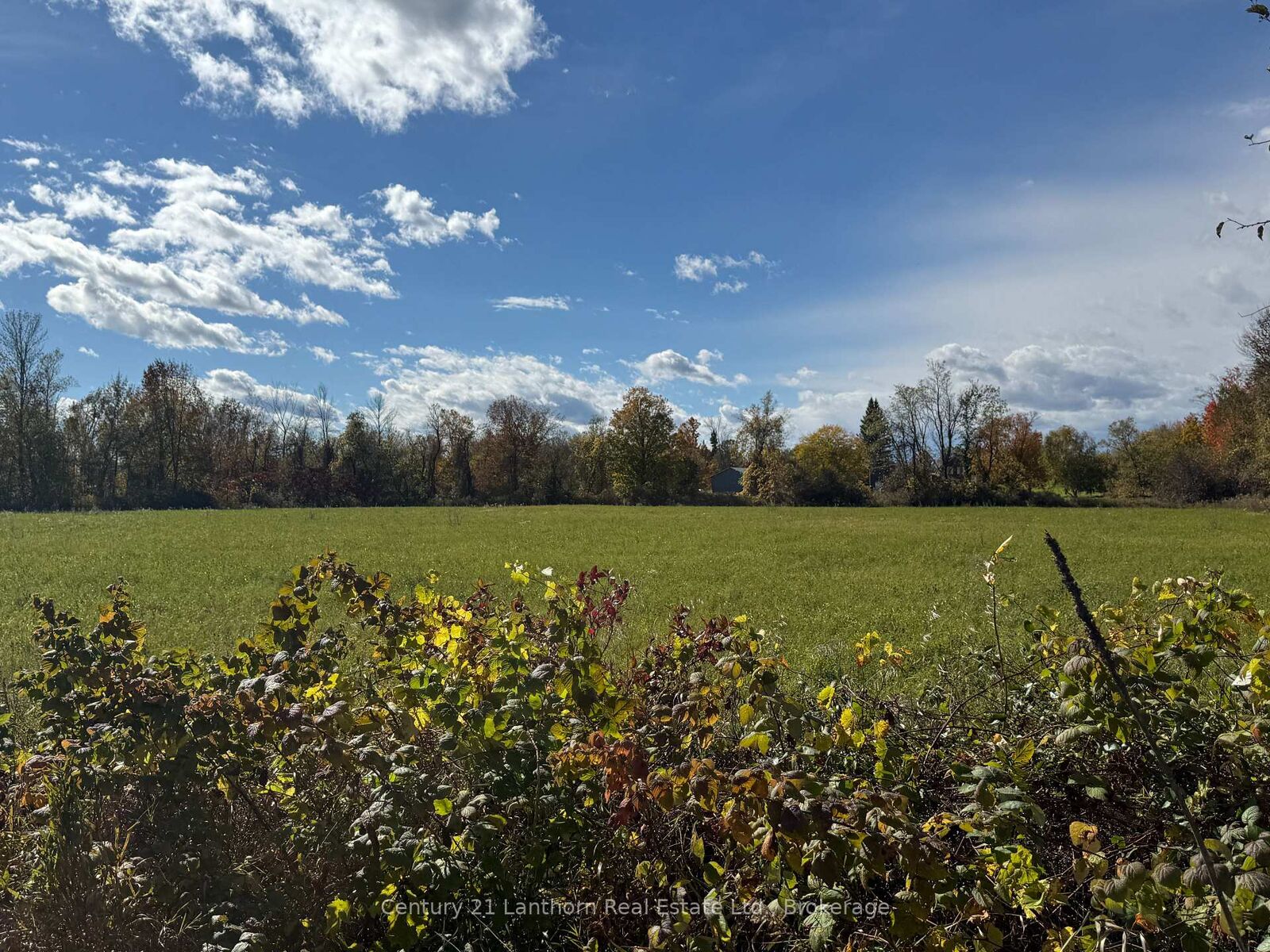 Property Photo:  143 Preston Road  ON K0K 2K0 