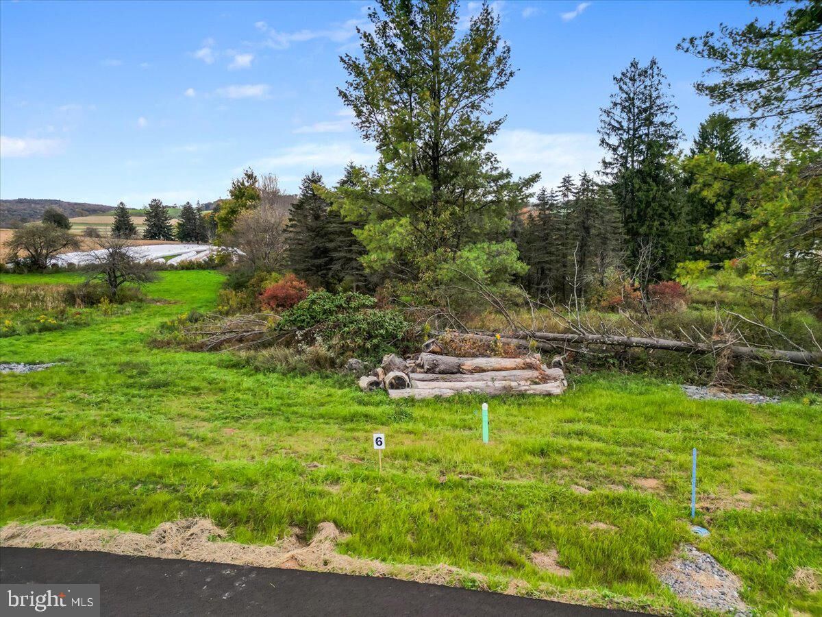 Property Photo:  Lot 6 Flat Street  MD 21520 
