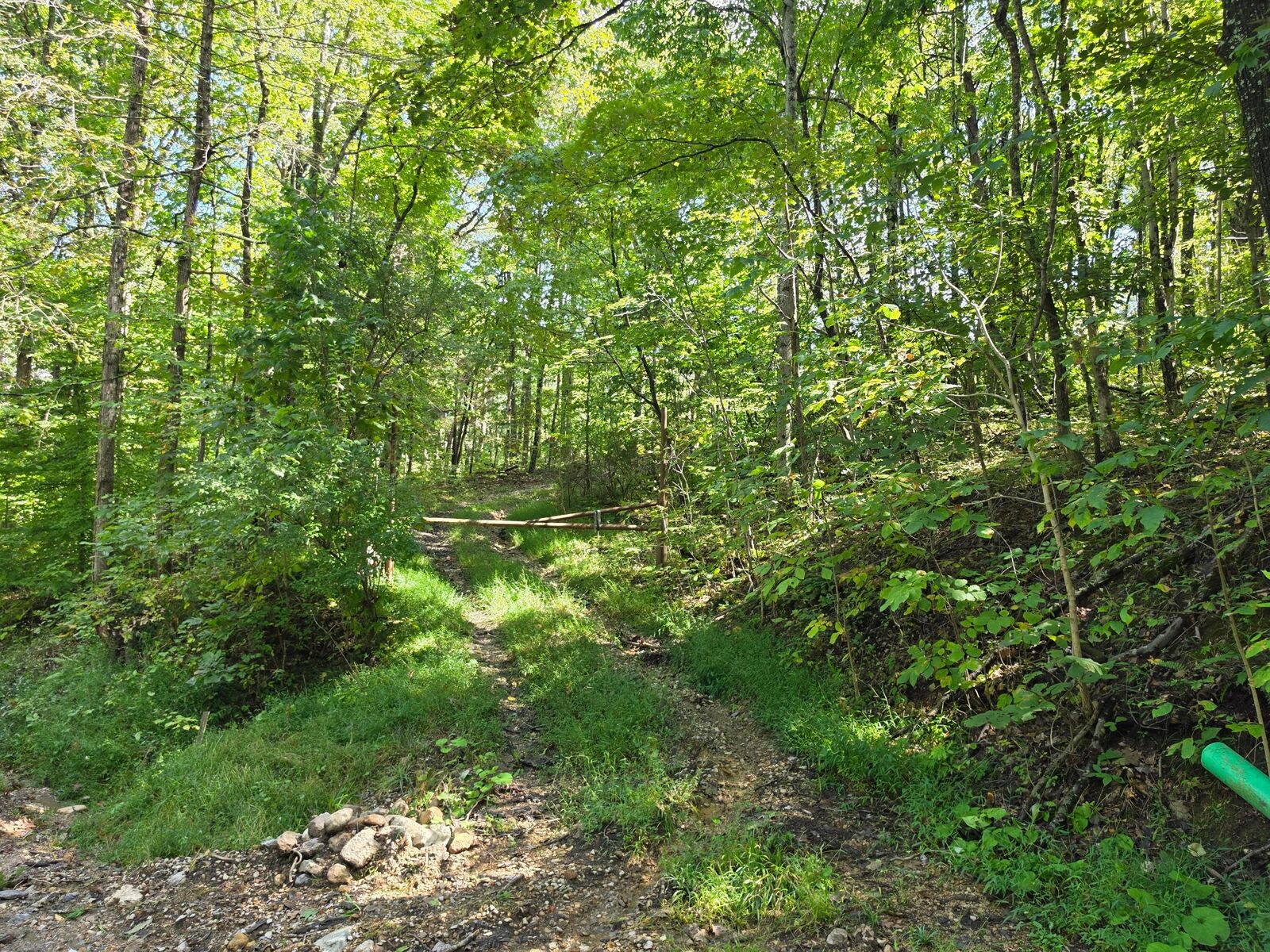 Property Photo:  28881 Barton Road  OH 43138 