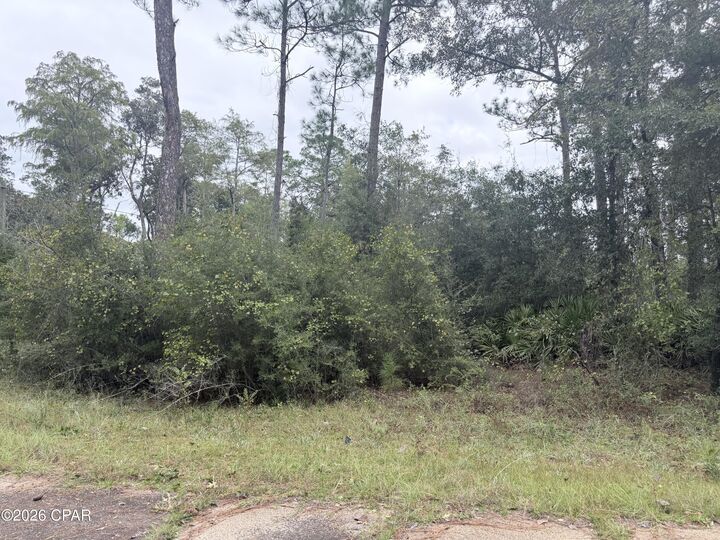 Property Photo:  Lot 1 Wellington Place  FL 32428 