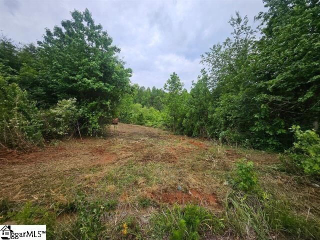 Property Photo:  418 N Walcher Farm Drive  SC 29349 