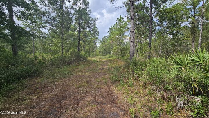 Property Photo: 0 Tmberland Court GA 31565