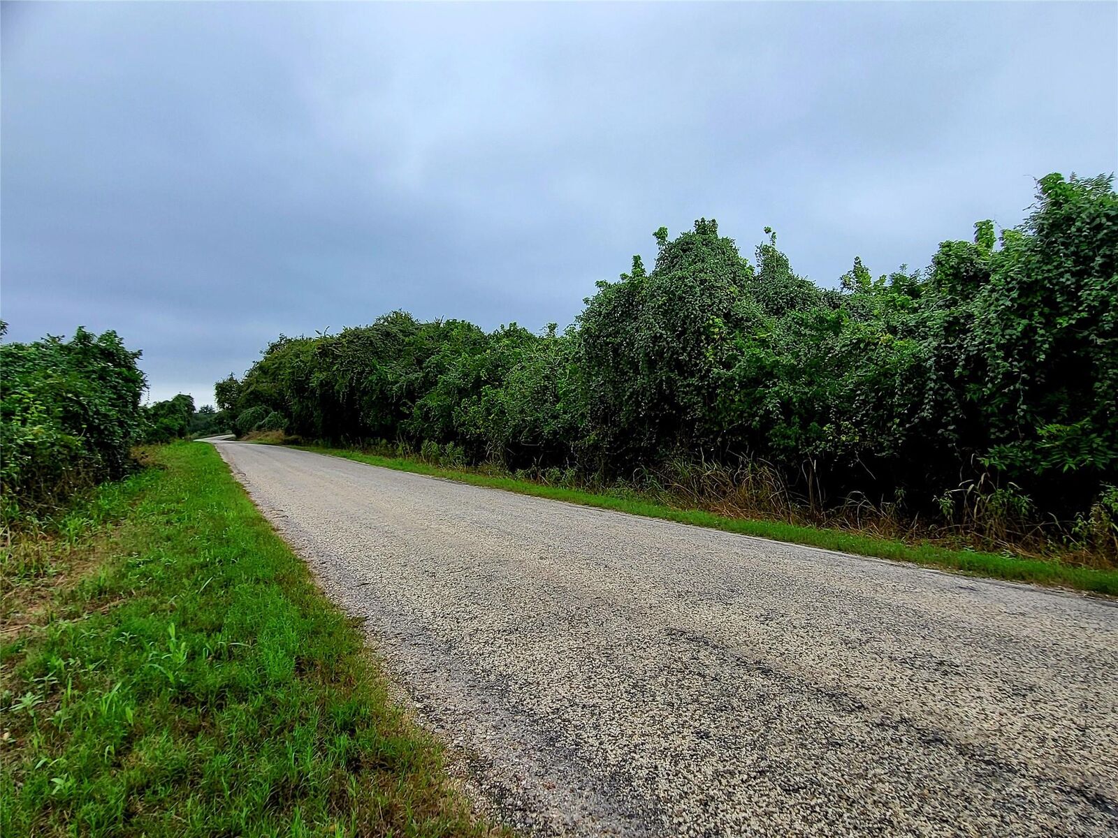Property Photo:  446 Riverside Drive  TX 78602 