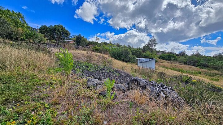 Property Photo:  Bamboo Lane  HI 96737 