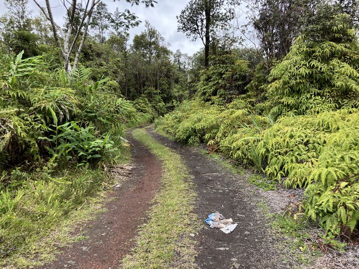 Property Photo:  Lehua St  HI 96771 